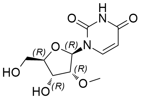 2'-OMe Uridine