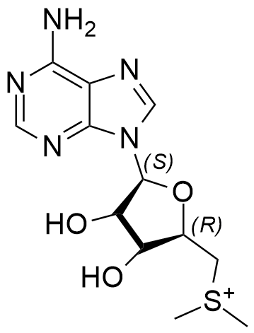 Linezolid Impurity 43