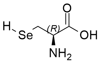 Selenocysteine